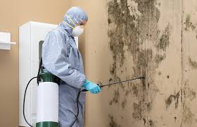 Best Mold Removal for HVAC Installations in Trotwood, OH